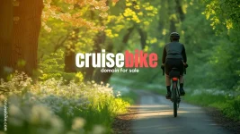 cruisebike.com.webp